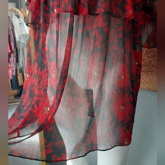 Zara Chiffon Sheer Ruffled Mini Dress - Picture 4 of 13